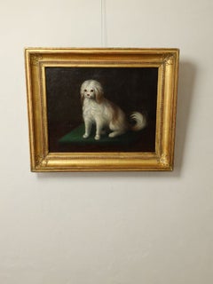 Fine 19th Century Portrait of a Small Companion Dog, Oil on Canvas