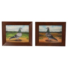 Pair of English Racing Pigeon Portraits by C. H. Wadsworth, 1911 – ‘Shamrock’ &