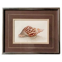 Retro Water Color Seashell Art