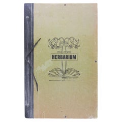 Antique 1930s Herbarium Mars Hill North Carolina 34 Pressed Botanical Specimens
