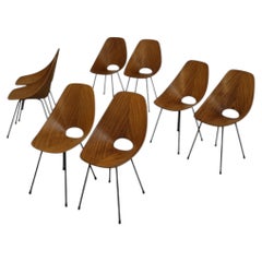 Medea dining chairs by Nobili for Tagliabue, Italy, 1956, plywood and brass.