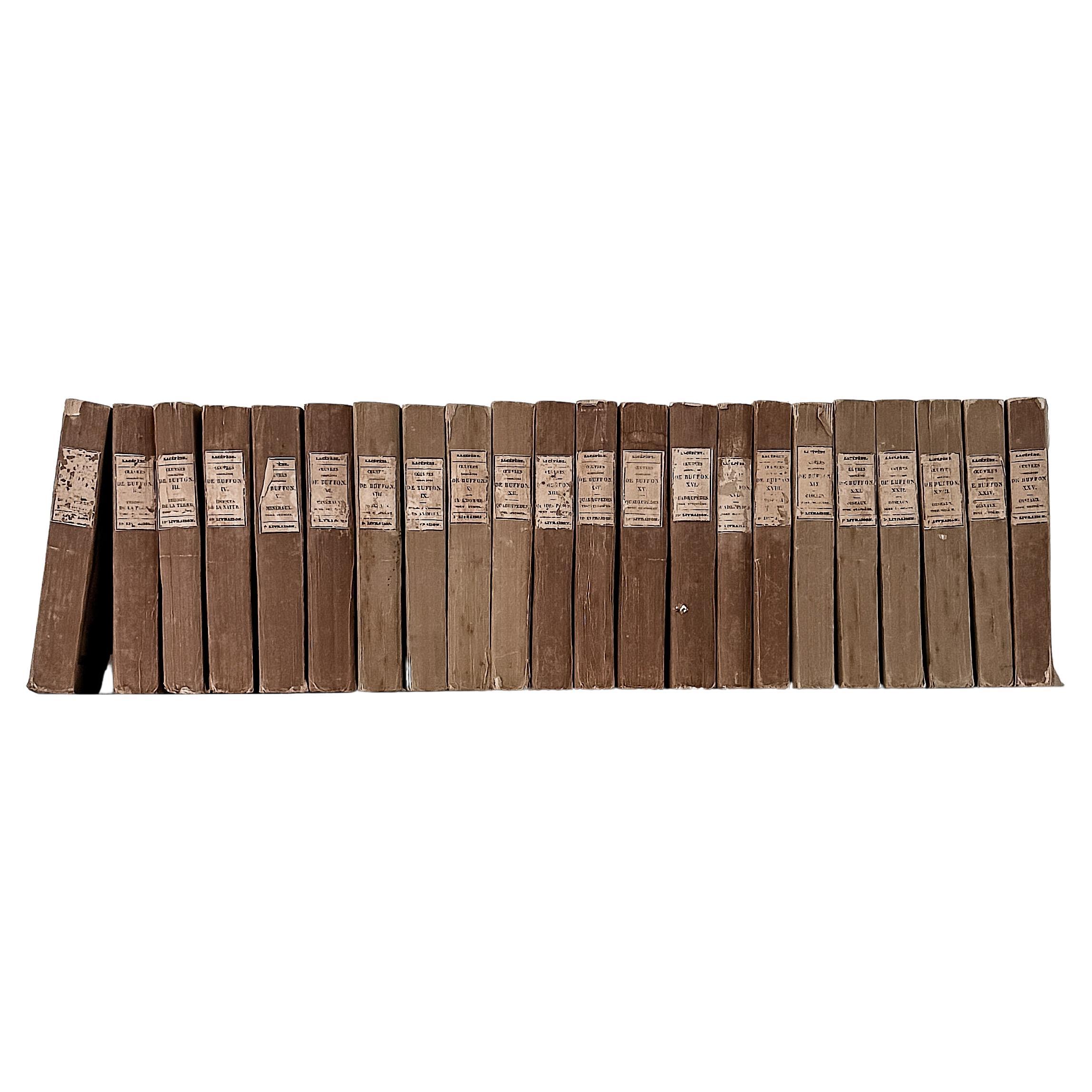 (Lot de 22) Œuvres d'un naturaliste français du 19e siècle Livres en papier chiffon en vente