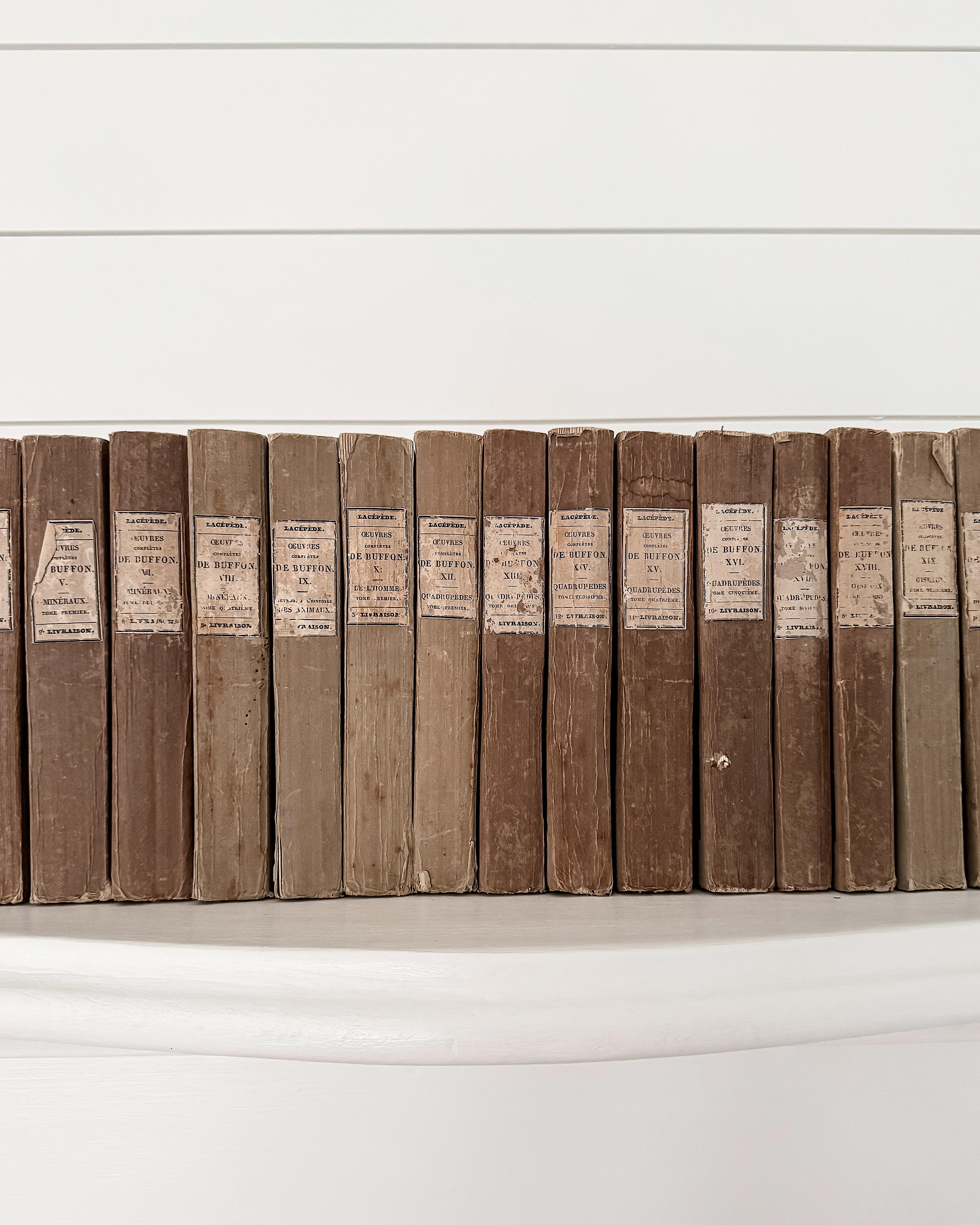 (Lot de 22) Œuvres d'un naturaliste français du 19e siècle Livres en papier chiffon Bon état - En vente à Mckinney, TX