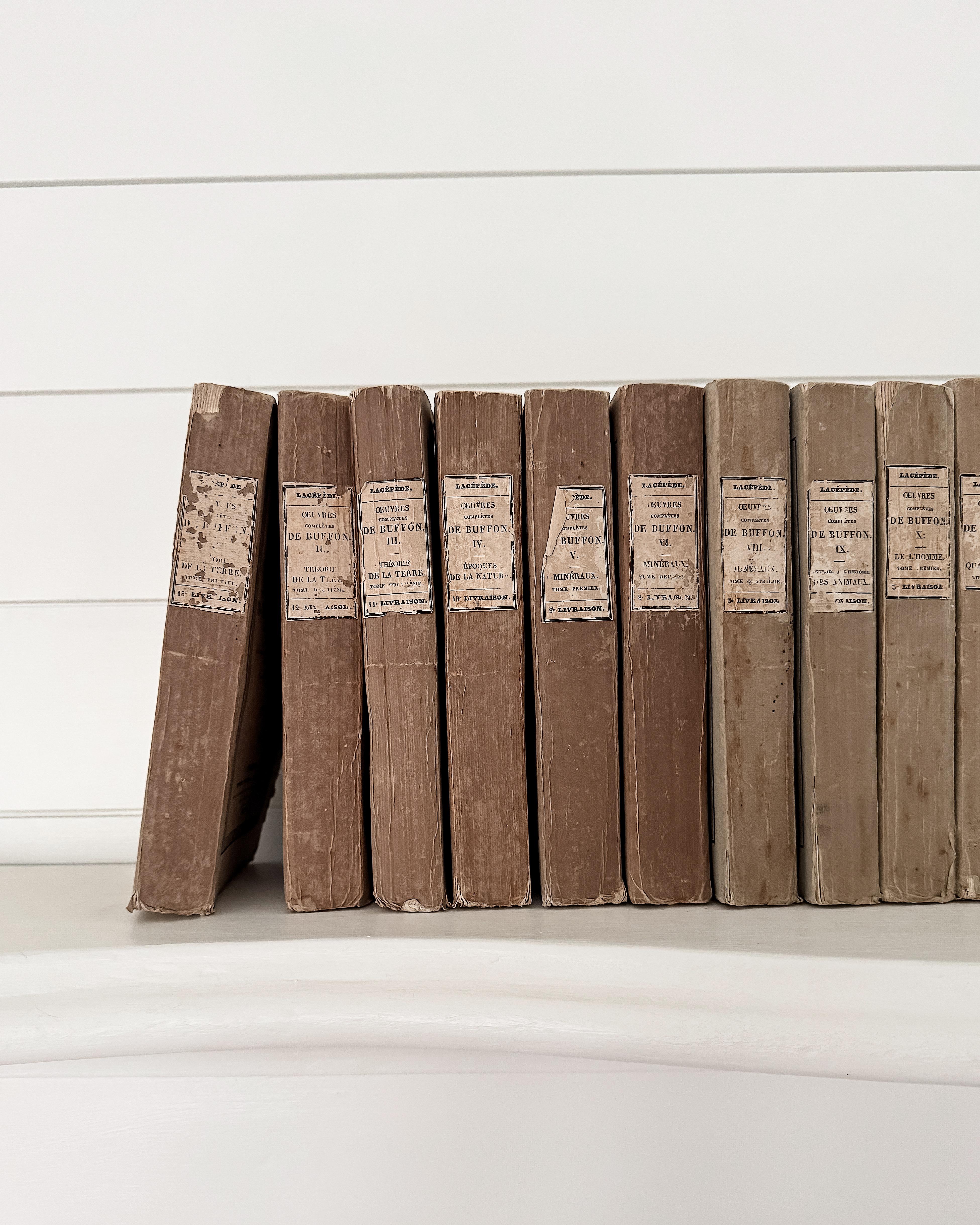 Français (Lot de 22) Œuvres d'un naturaliste français du 19e siècle Livres en papier chiffon en vente