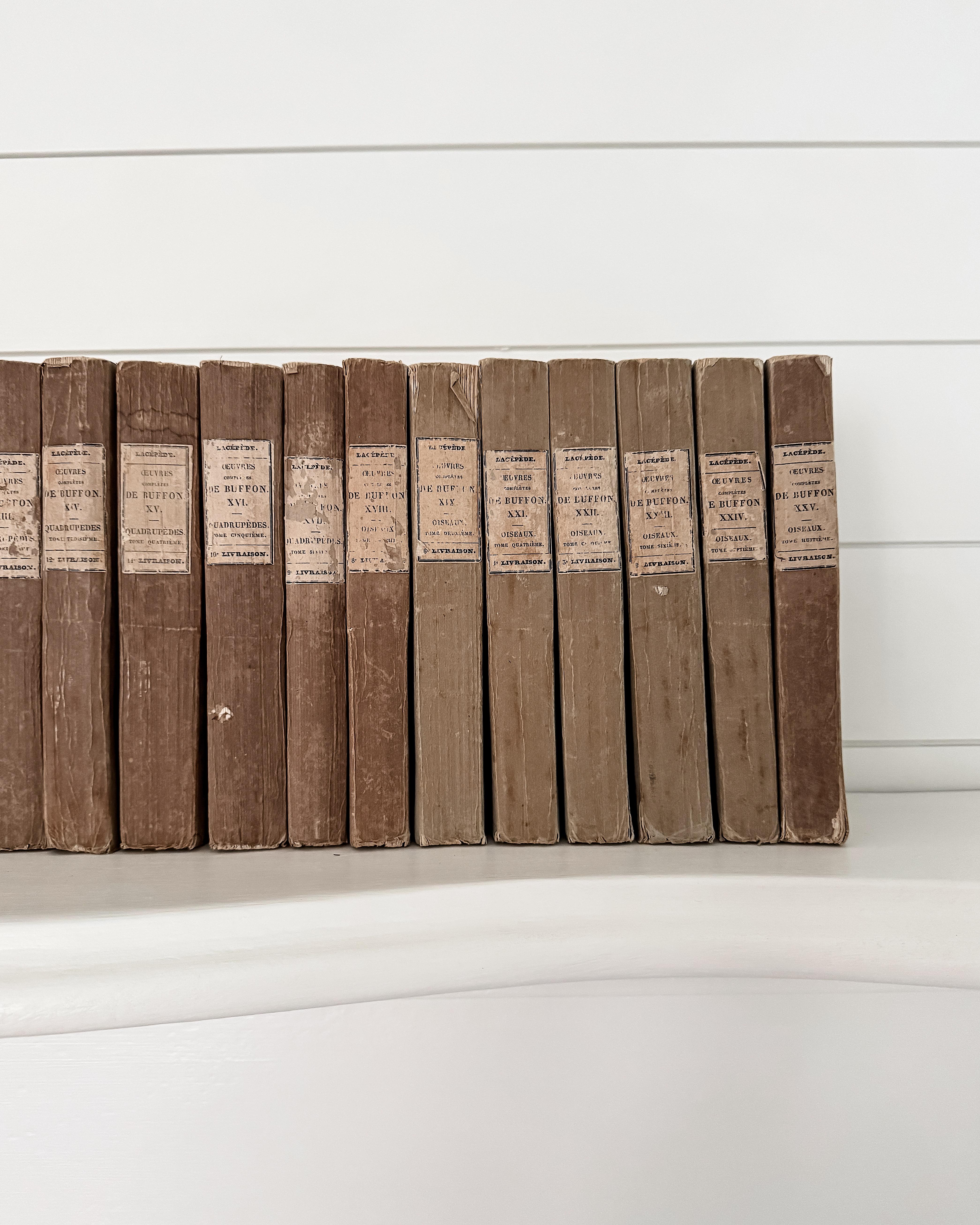 XIXe siècle (Lot de 22) Œuvres d'un naturaliste français du 19e siècle Livres en papier chiffon en vente