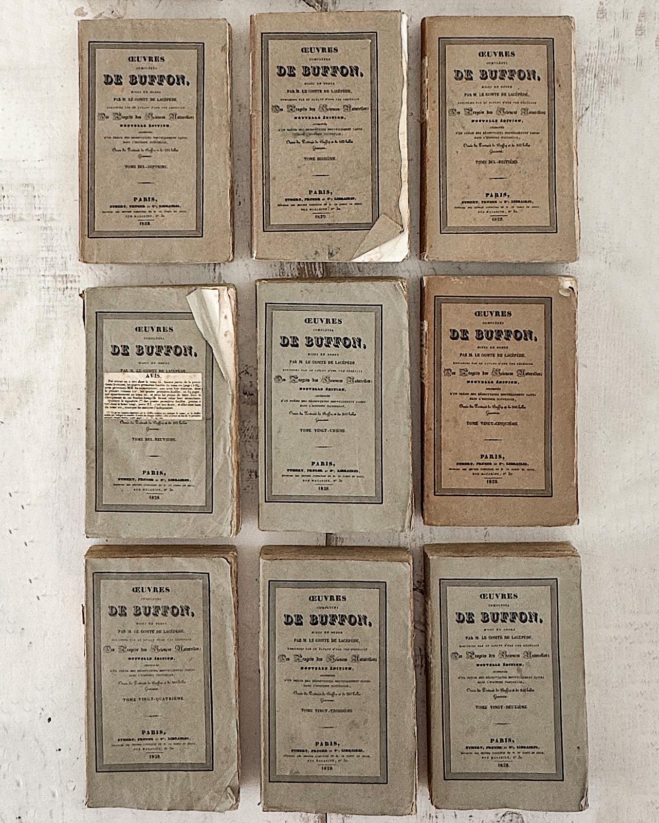 (Lot de 22) Œuvres d'un naturaliste français du 19e siècle Livres en papier chiffon en vente 6