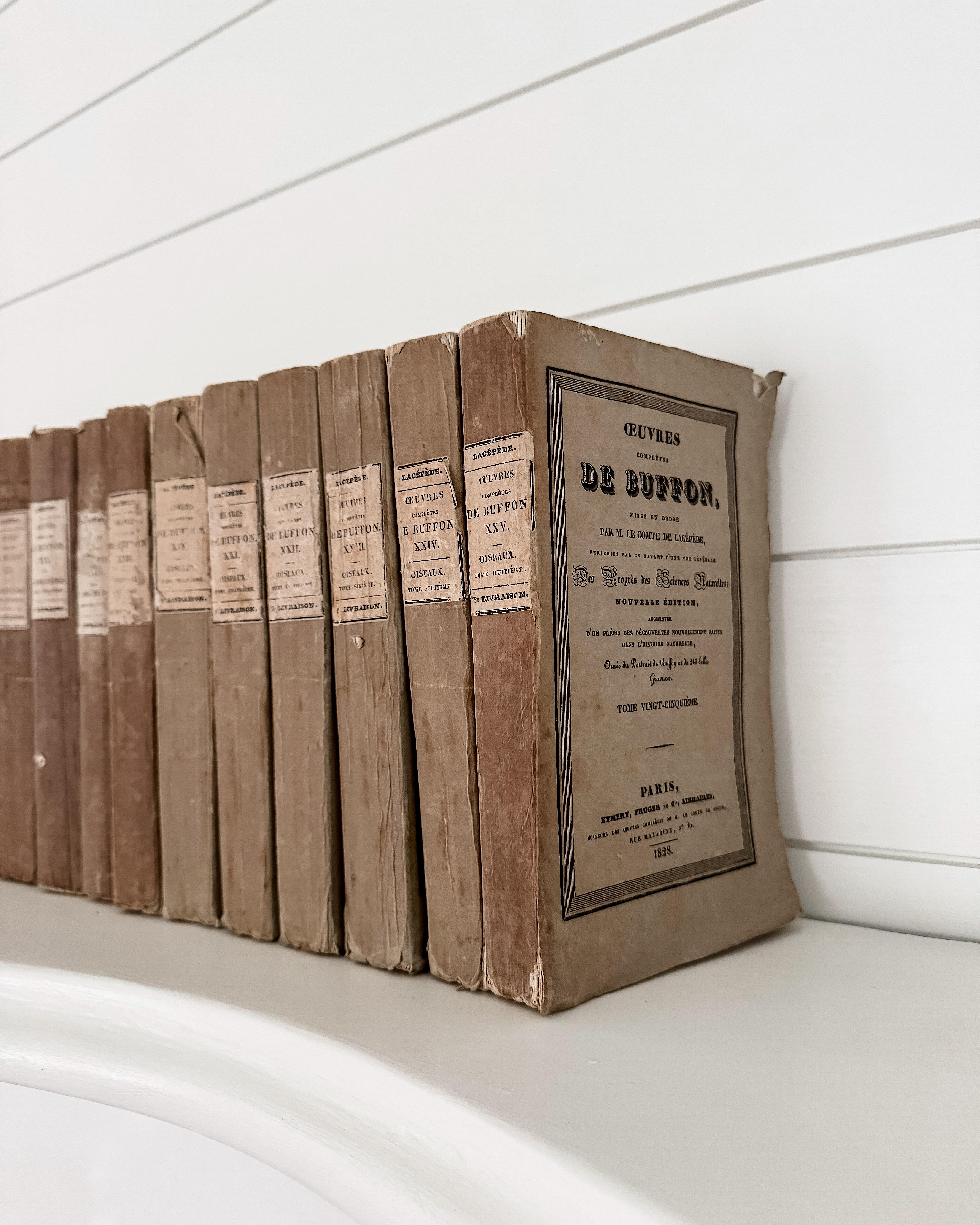 (Lot de 22) Œuvres d'un naturaliste français du 19e siècle Livres en papier chiffon en vente 2