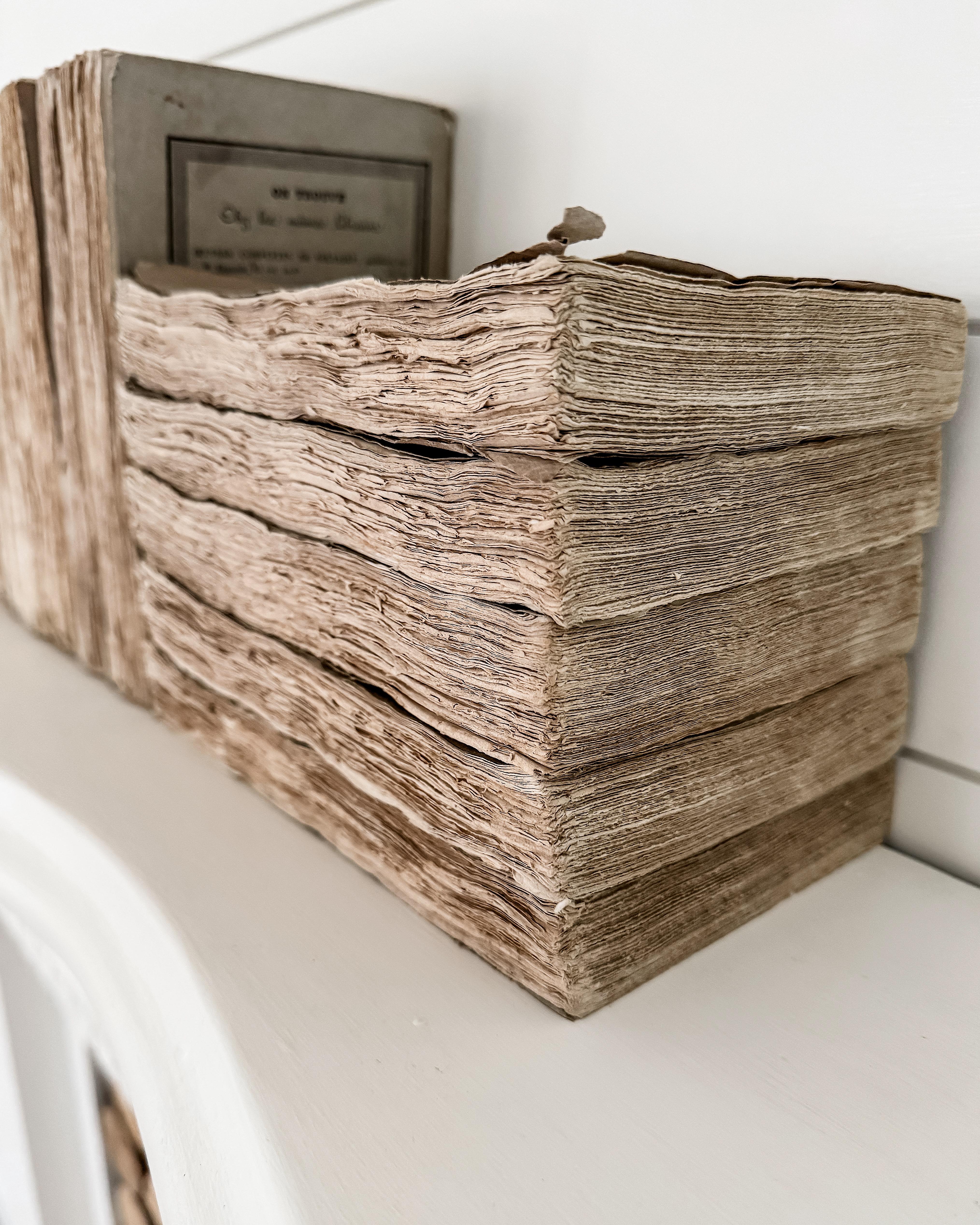 (Lot de 22) Œuvres d'un naturaliste français du 19e siècle Livres en papier chiffon en vente 5