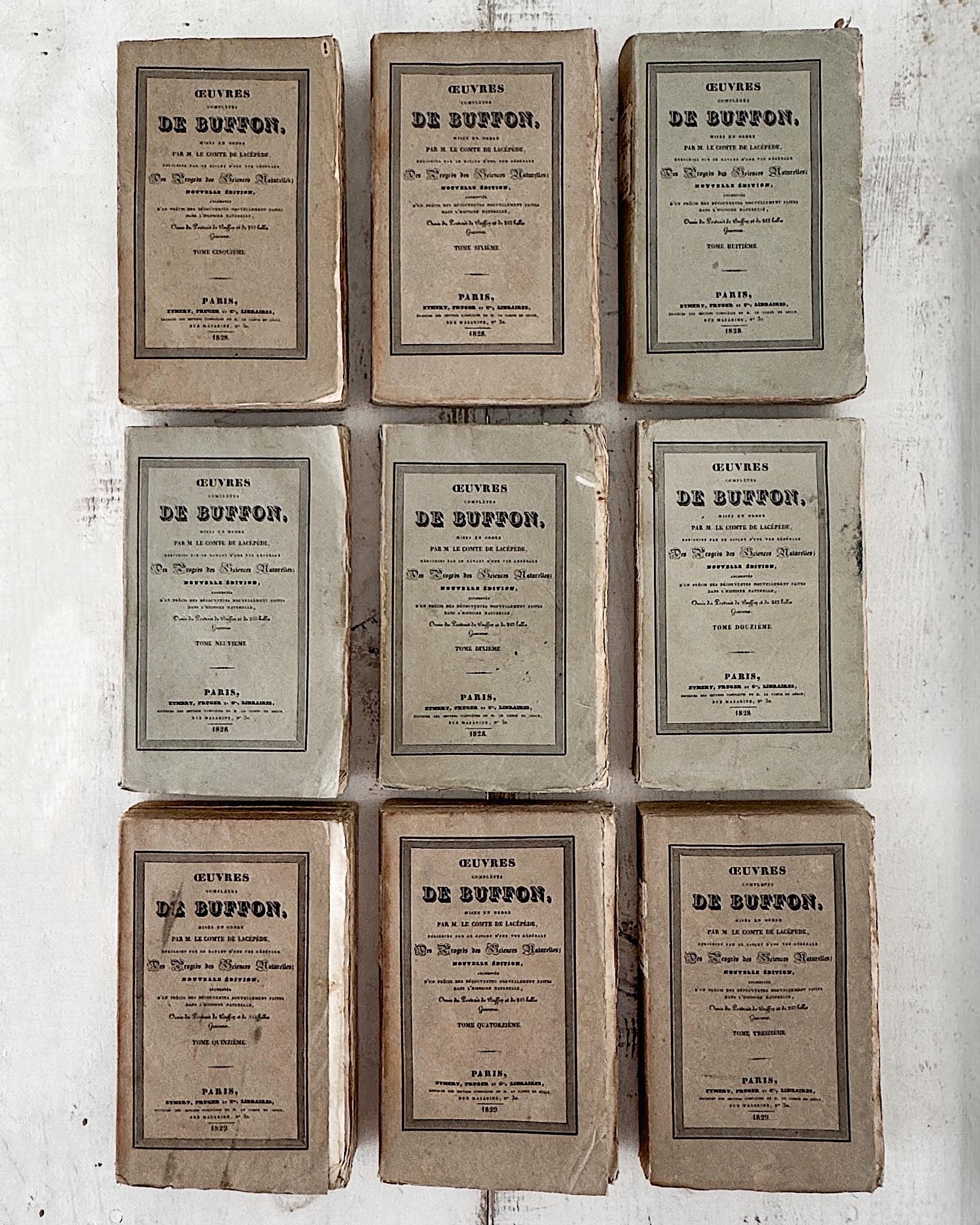 (Lot de 22) Œuvres d'un naturaliste français du 19e siècle Livres en papier chiffon en vente 8