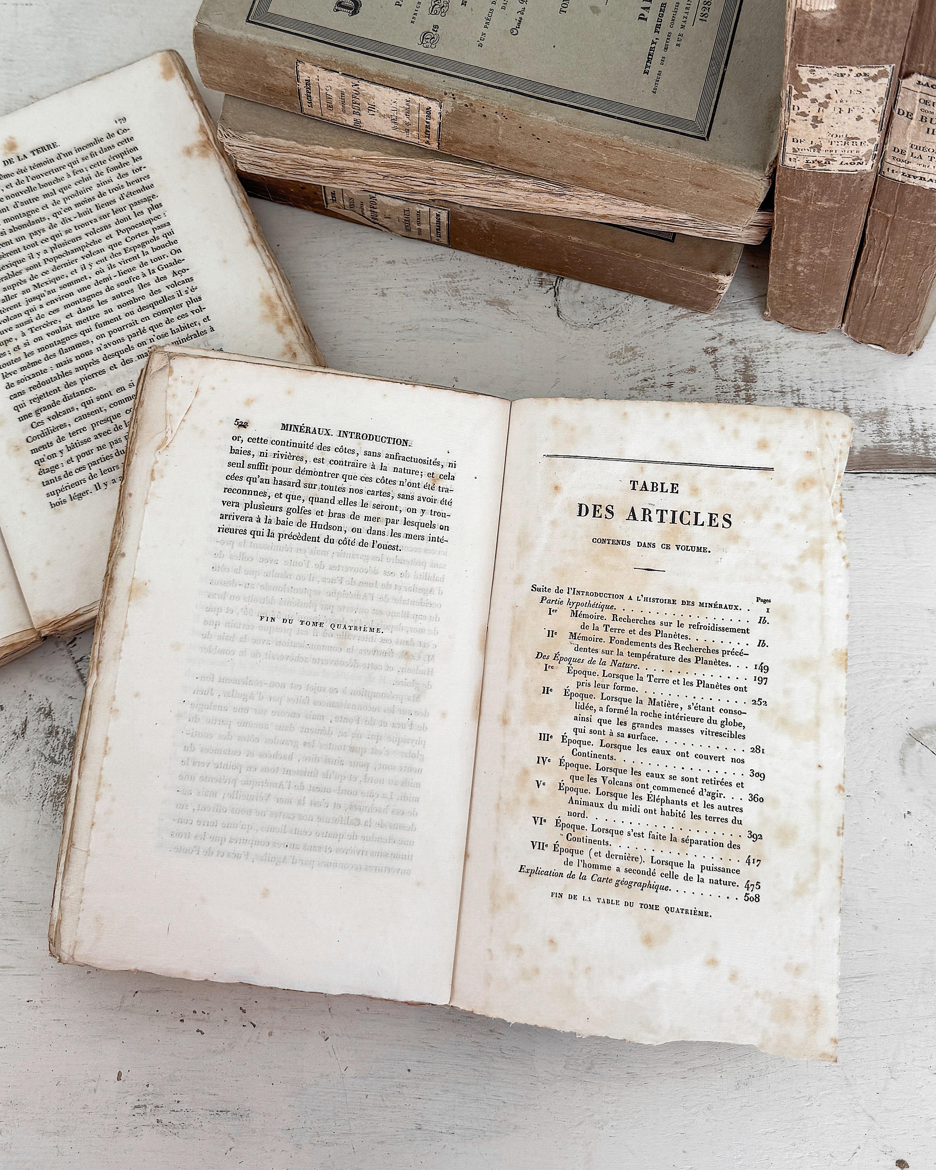 (Lot de 22) Œuvres d'un naturaliste français du 19e siècle Livres en papier chiffon en vente 13
