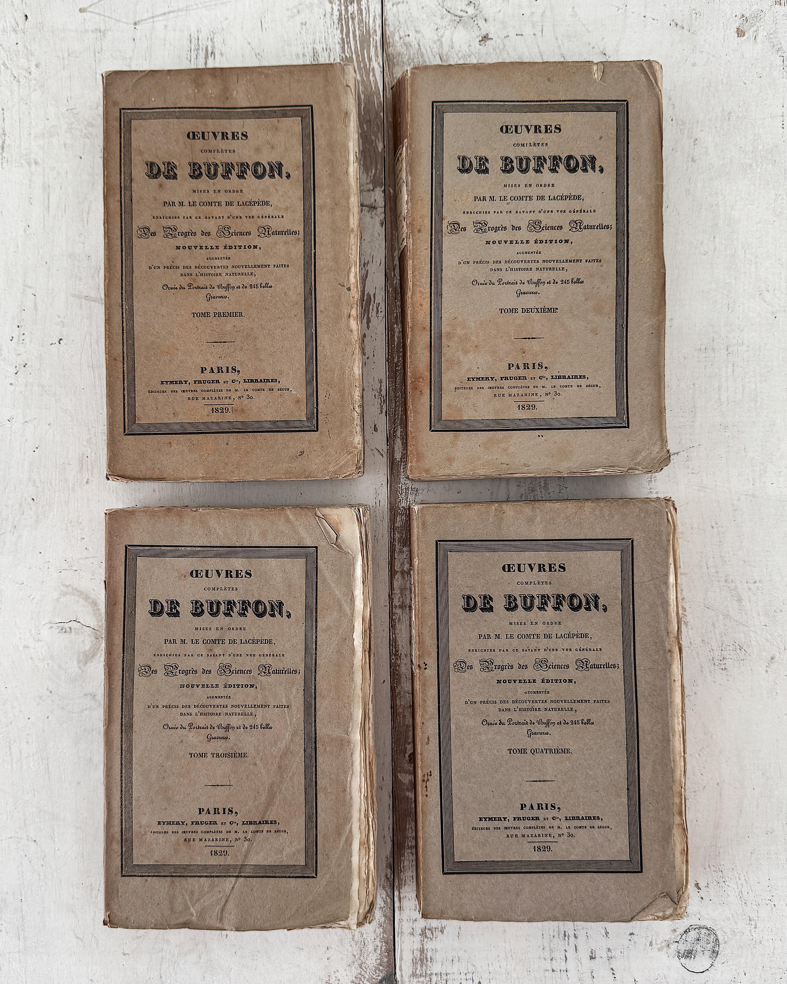 (Lot de 22) Œuvres d'un naturaliste français du 19e siècle Livres en papier chiffon en vente 10