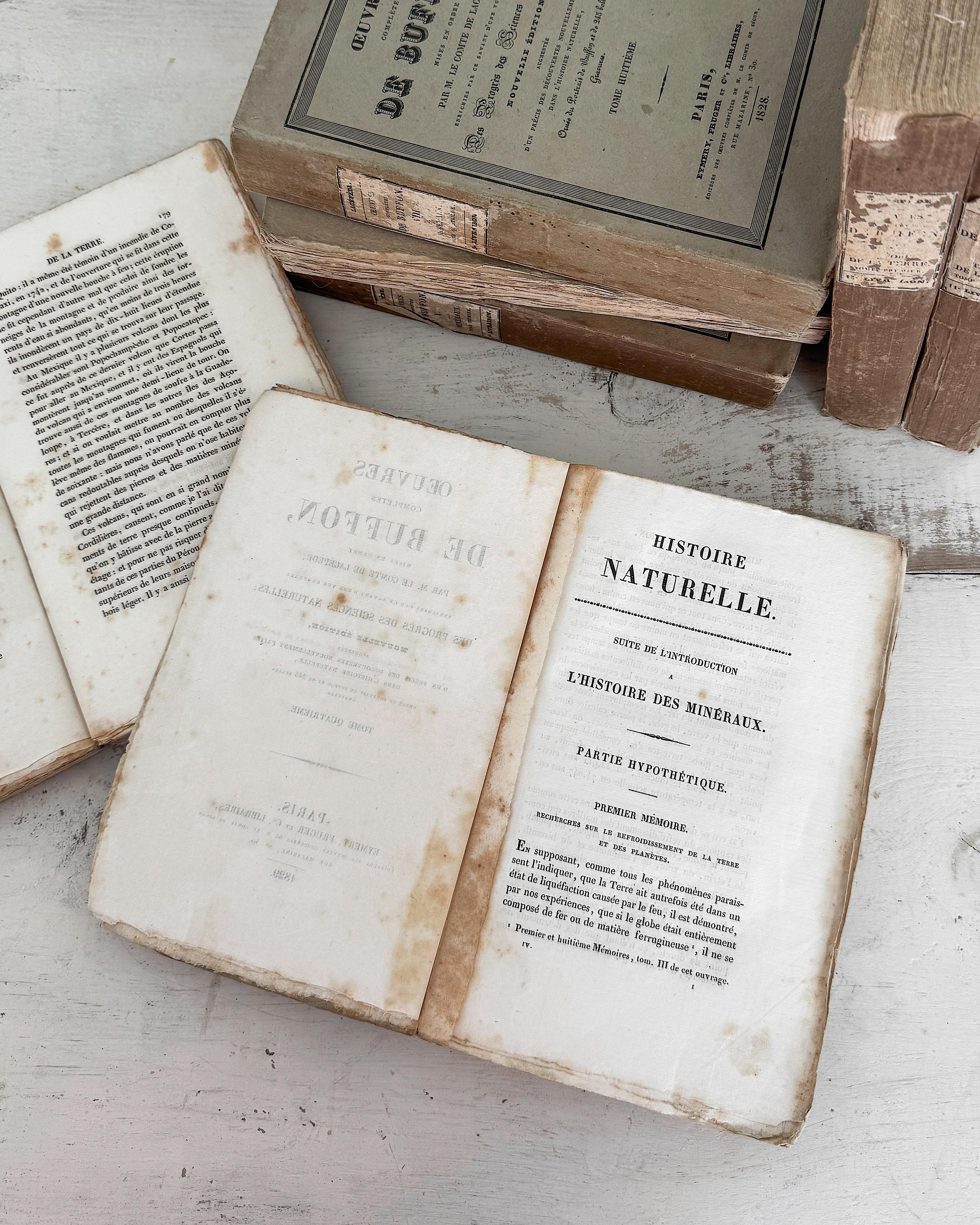 (Lot de 22) Œuvres d'un naturaliste français du 19e siècle Livres en papier chiffon en vente 12
