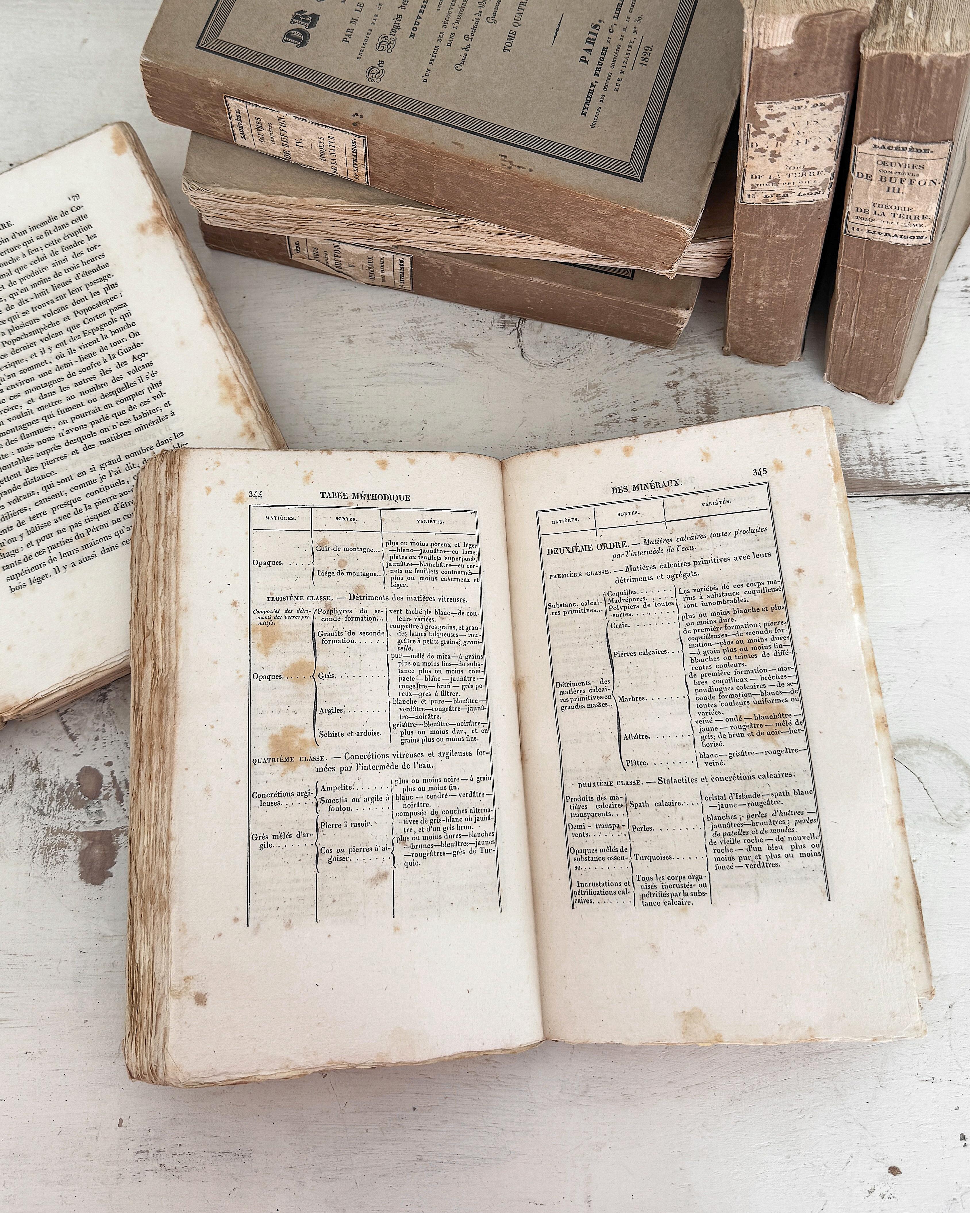 (Lot de 22) Œuvres d'un naturaliste français du 19e siècle Livres en papier chiffon en vente 14