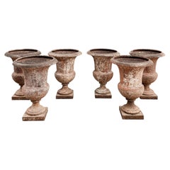 Set of 6 Antique 19th Century French Cast Iron Medicis Campana Garden Urns