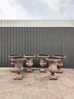 Set of 6 Antique 19th Century French Cast Iron Medicis Campana Garden Urns