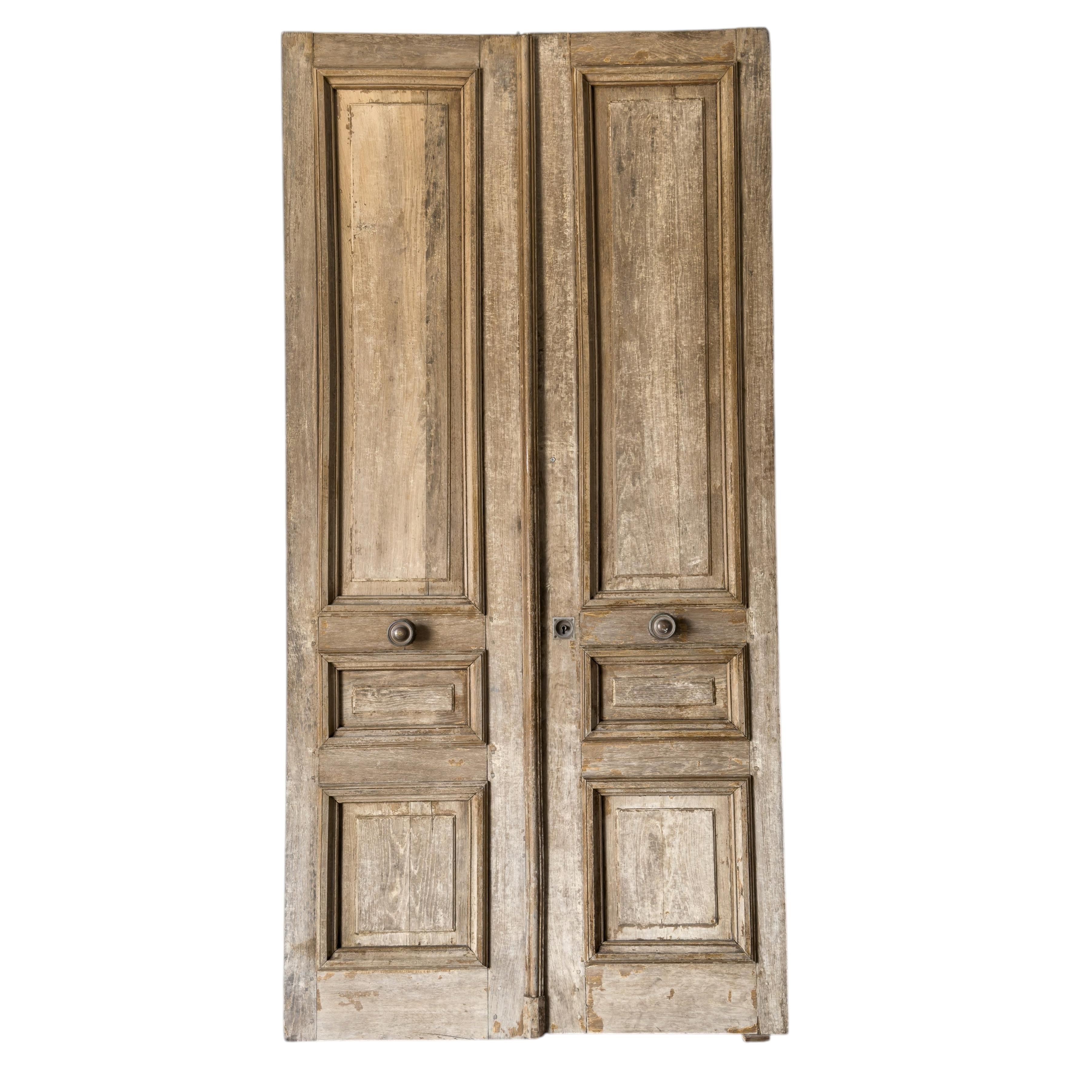 Par de puertas exteriores francesas del siglo XIX recuperadas, de roble
