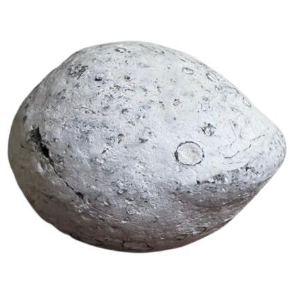 Collected Sculptural Danian-Aged Round Stone Formed 63 Million Years ago
