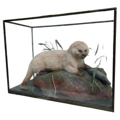 Antique Otter and Loss, Taxidermy in a Glass Machine, London Piccadilly