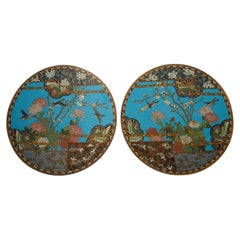 Pair of Japanese Cloisonne Enamel Meiji Plates with Birds and Chrysanthemums