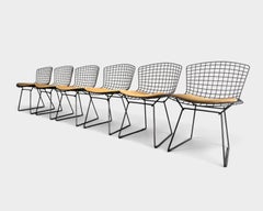 Juego de seis sillas «Modelo 420» de Harry Bertoia para Knoll International, década de los 70