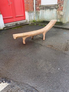 Organic Sculpture Bench Carved from a Tree Branch Around 1970/1980
