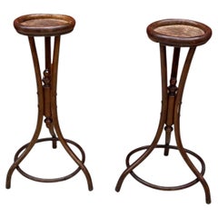 Fischel, 2 Art Nouveau wood Pedestals, circa 1900.