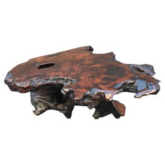 Table basse organique brutaliste en forme de racine d'arbre, vers 1970.