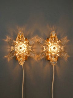 Wall sconces in flower shaped glass and brass base, Mid-Century Design.