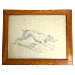 Dessin au crayon représentant un chien de chasse, datant de la fin du XVIIIe siècle – début du XIXe siècle