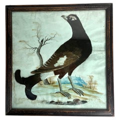 Raro quadro del XVIII secolo con piume di gallo cedrone e guazzo, in cornice originale