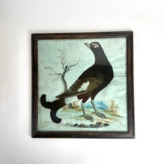 Rare 18th Century Capercaillie Featherwork and Gouache Picture in Original Frame