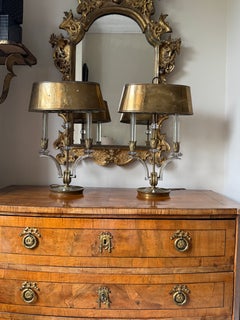 Pair of rare Marius-Ernest Sabino bronze and glass table lamps, Paris