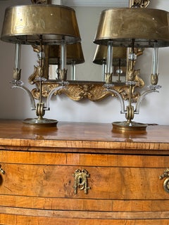 Pair of rare Marius-Ernest Sabino bronze and glass table lamps, Paris