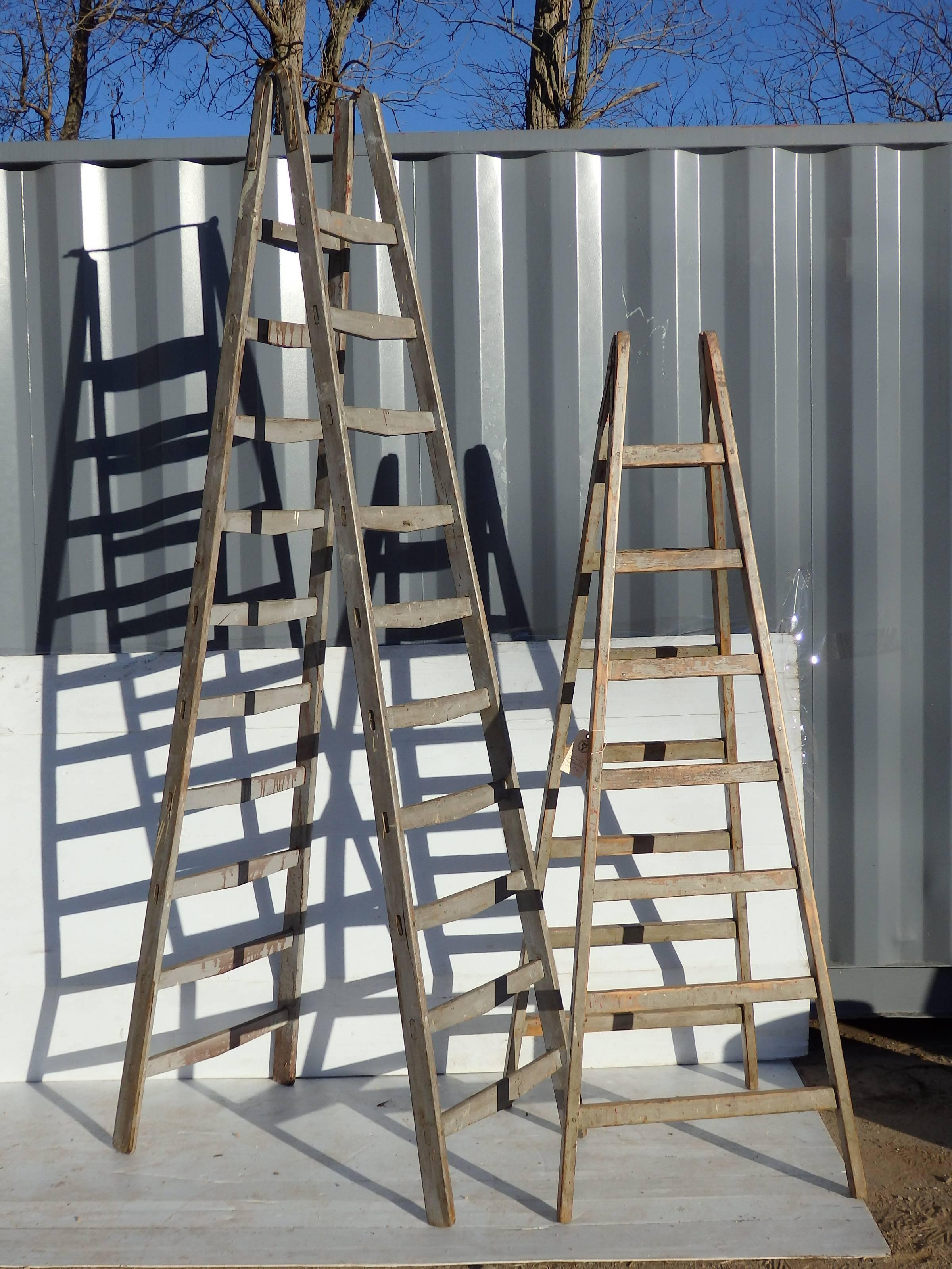 French fruit picking ladders, with remains of original paint. We have other ladders in stock, contact us for availability and current stock.
ladders priced separately
dimensions vary!!