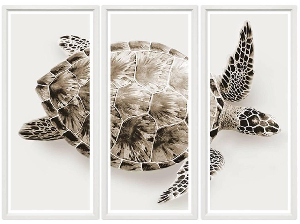 Large-scale triptych print of a sea turtle, on simple off-white background. White frame. Available in blue and sepia.
