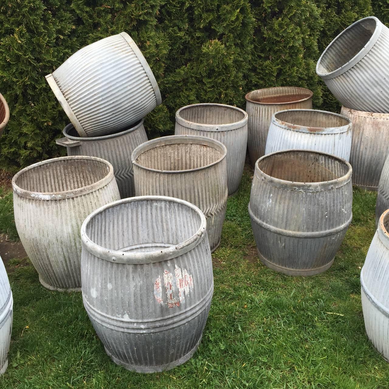 Vintage wash tubs in zinc, perfect planters.