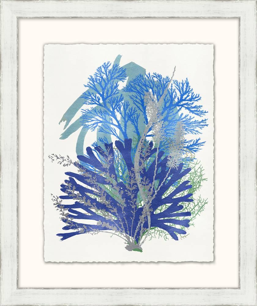 Collection of bright and graphic prints of seaweed and corals. Sold separately. Available in custom sizing. 
Each print framed 20.5 x 24.5

Total 9 images in collection.