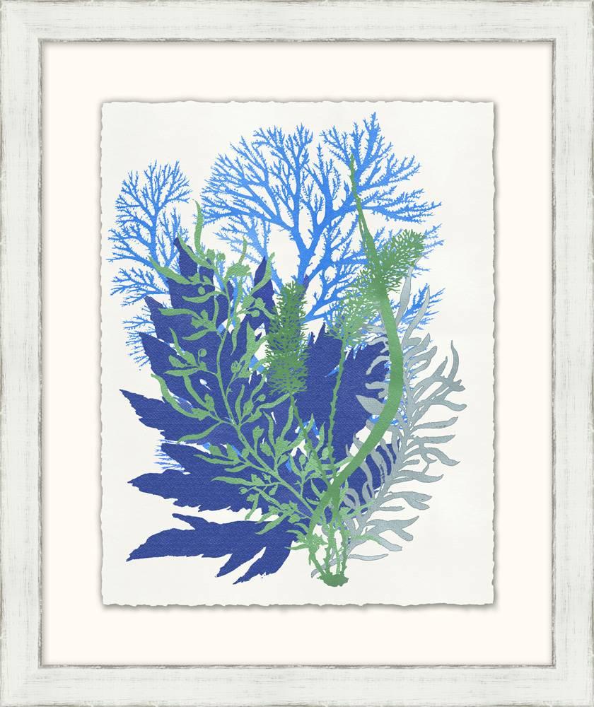 Contemporary Graphic Sea Life Prints For Sale