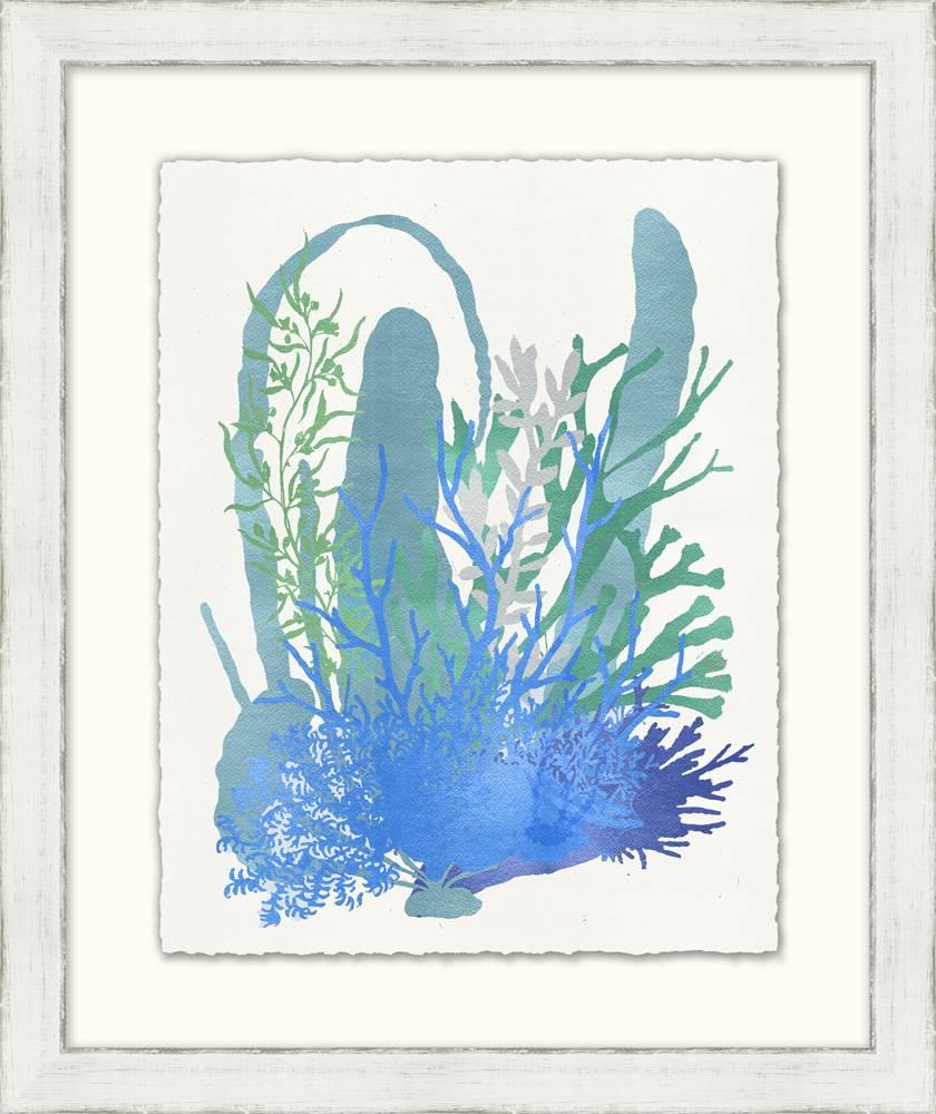 Graphic Sea Life Prints For Sale 2
