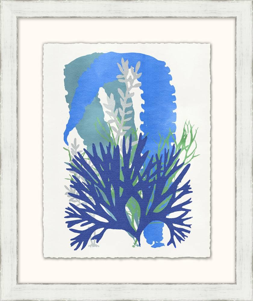 Graphic Sea Life Prints For Sale 3