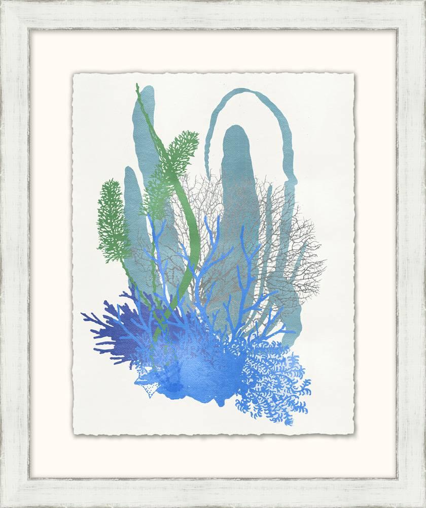 Graphic Sea Life Prints For Sale 5