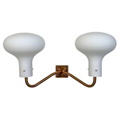 Lp12 wall applique by Ignazio Gardella for Azucena , 1960's Italian Lighing