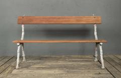 19th Century French Iron and Mahogany Garden Bench