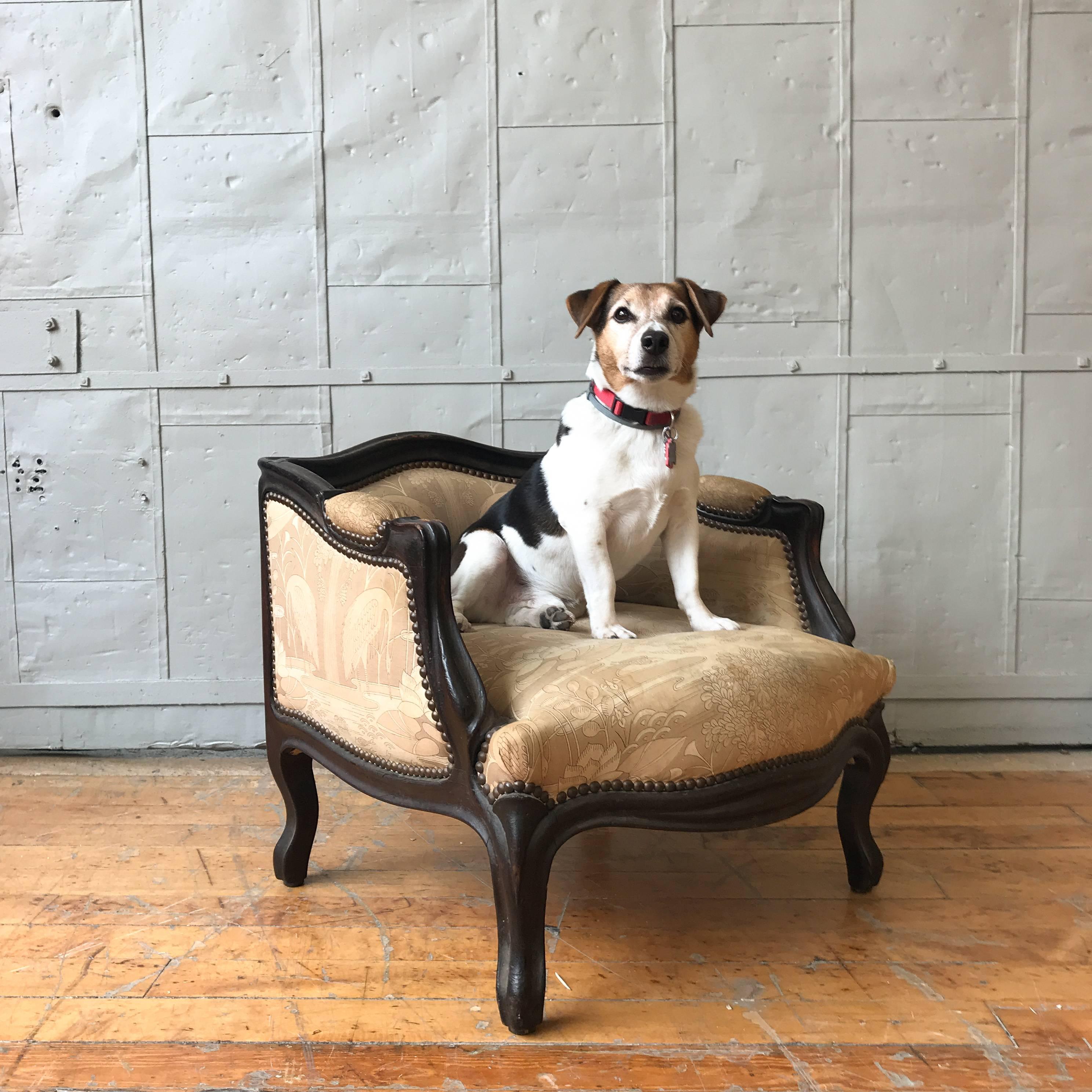 Un'eccezionale poltrona francese di piccole dimensioni progettata per un cane. Questa poltroncina non è solo una sedia: è un pezzo di storia. Costruito negli anni '20, con una lavorazione francese e dettagli di qualità, questo affascinante pezzo è