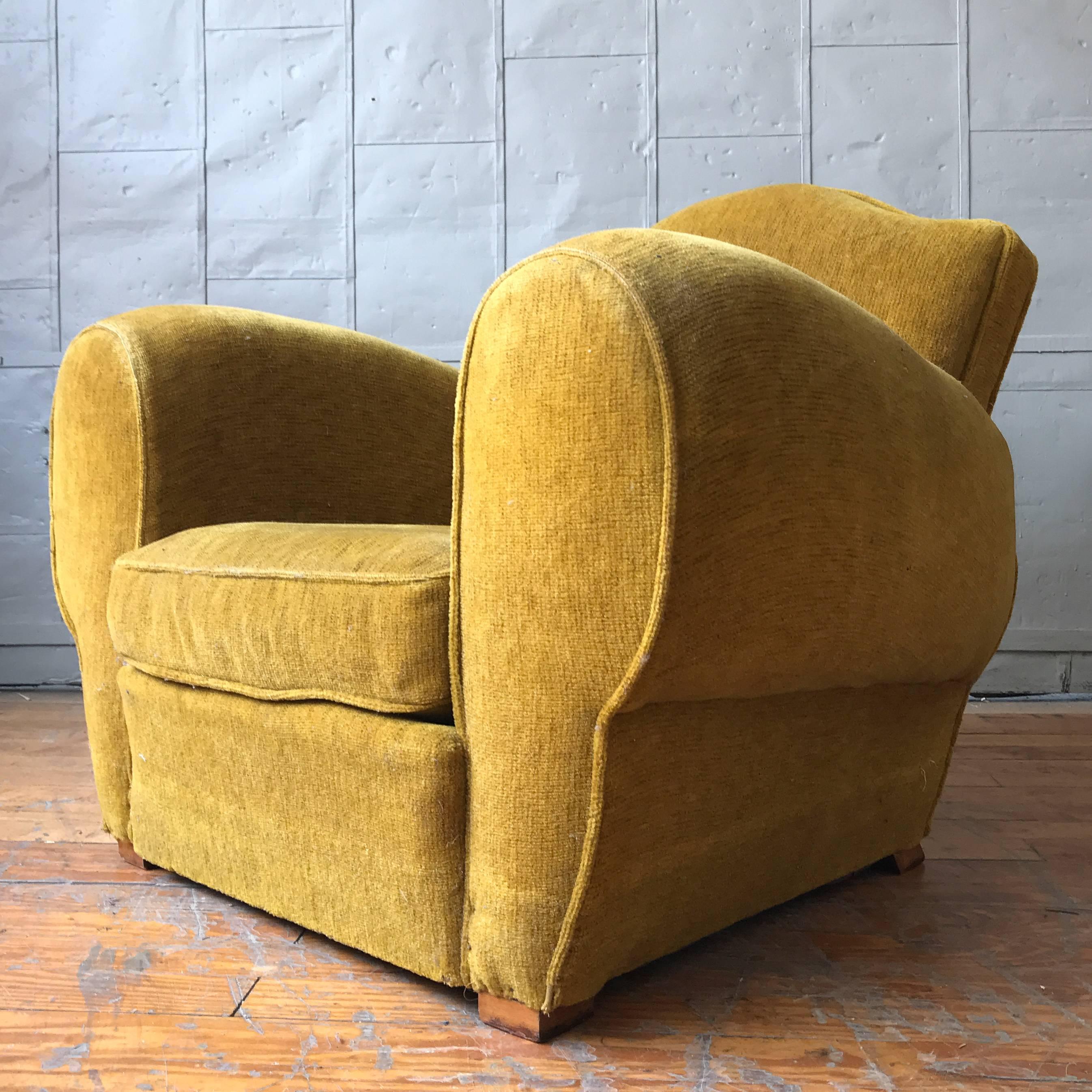 Oversized pair club chairs upholstered in faded and worn gold velvet. The chairs are very comfortable and are upholstery ready.

France, circa 1940s.

 