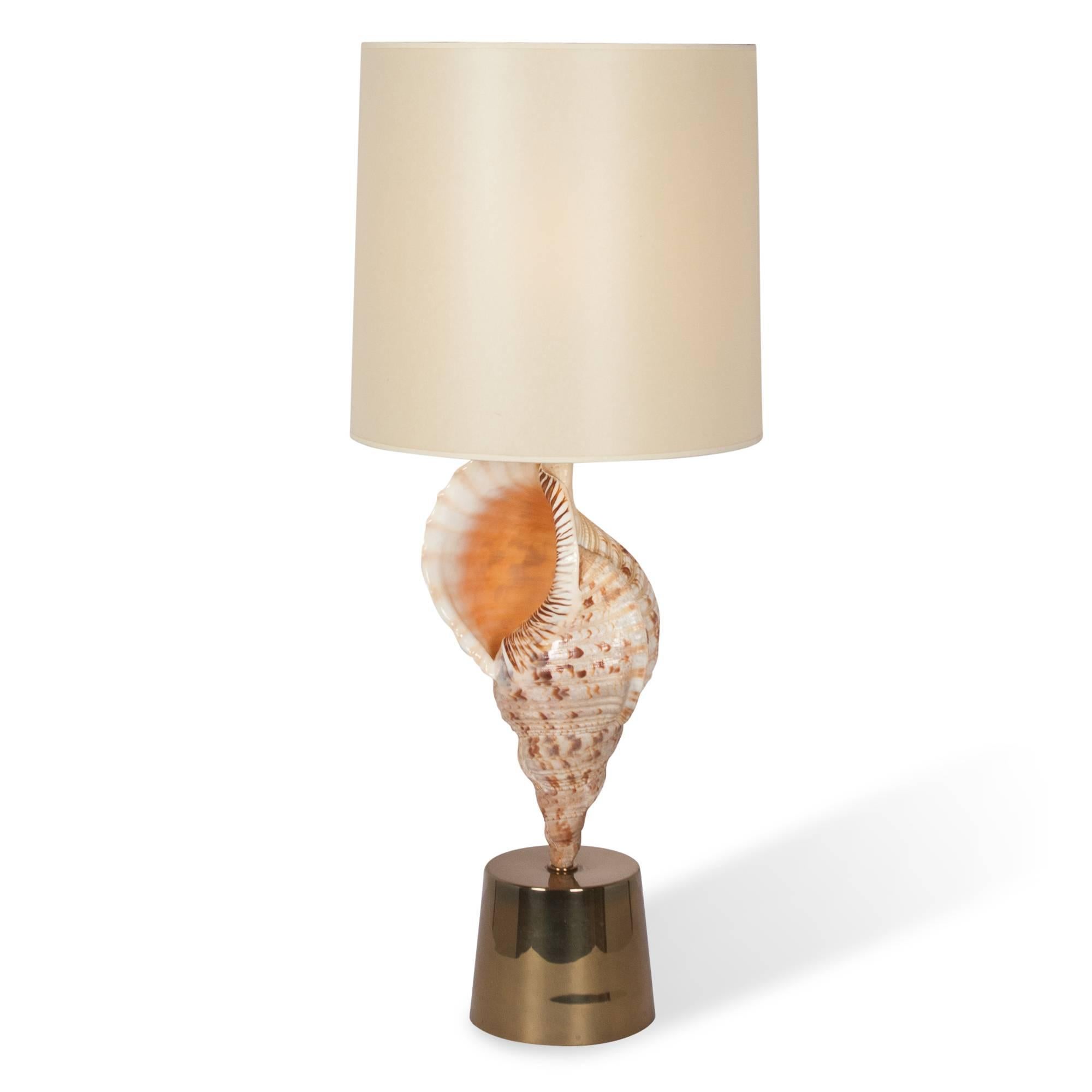 Late 20th Century Large Mounted Seashell Table Lamp by Charles et Cie, French, 1970s For Sale