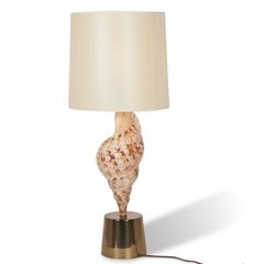 Large Mounted Seashell Table Lamp by Charles et Cie, French, 1970s