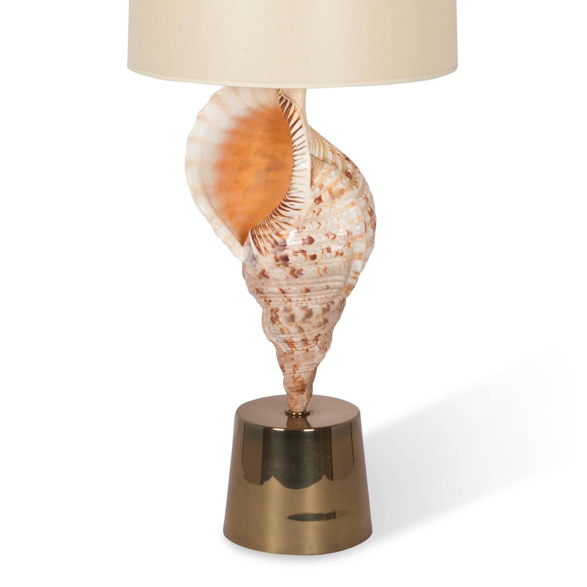 Bronze Large Mounted Seashell Table Lamp by Charles et Cie, French, 1970s For Sale