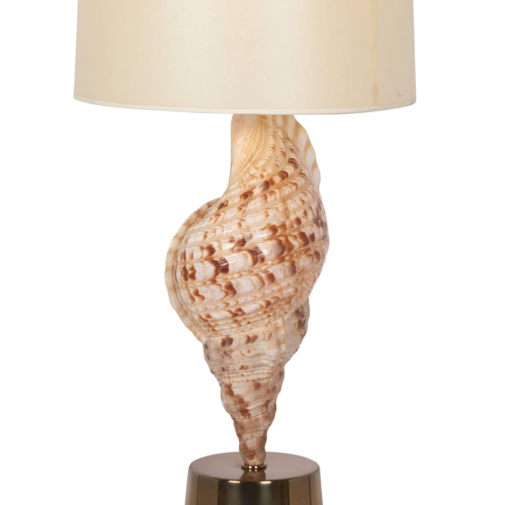 Large Mounted Seashell Table Lamp by Charles et Cie, French, 1970s In Excellent Condition For Sale In Hoboken, NJ