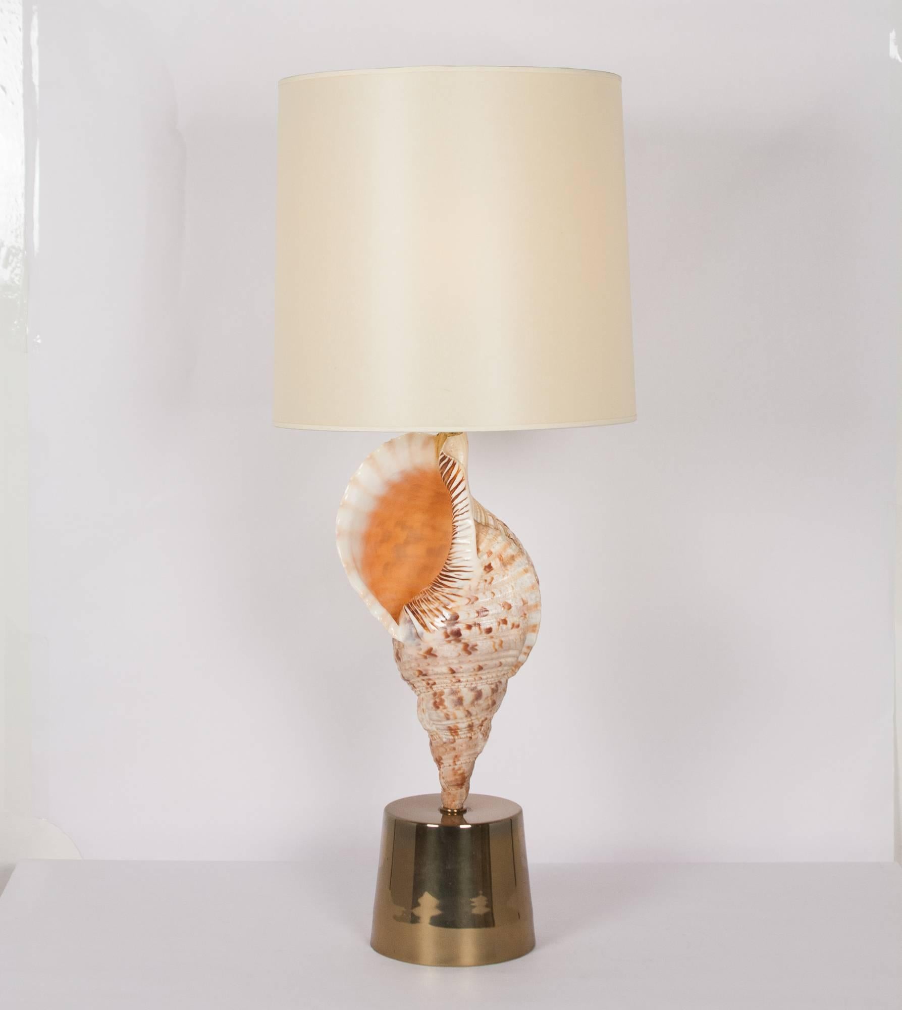 Large Mounted Seashell Table Lamp by Charles et Cie, French, 1970s For Sale 2